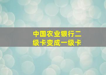 中国农业银行二级卡变成一级卡