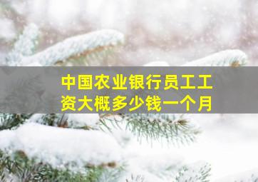 中国农业银行员工工资大概多少钱一个月