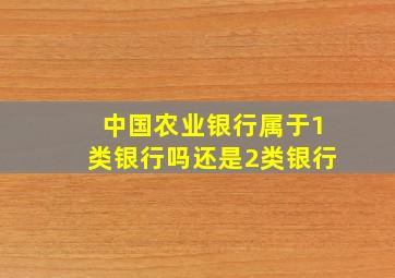 中国农业银行属于1类银行吗还是2类银行