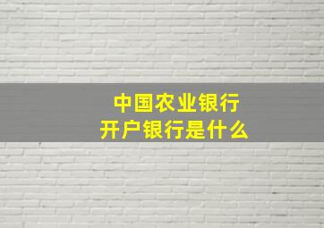 中国农业银行开户银行是什么