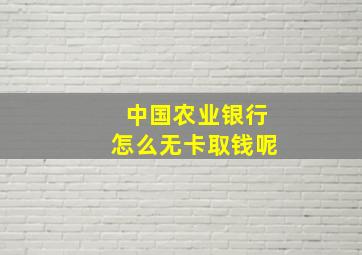 中国农业银行怎么无卡取钱呢