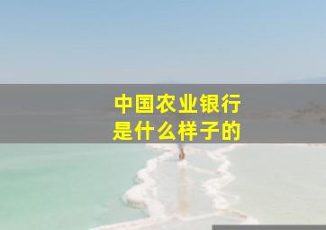 中国农业银行是什么样子的