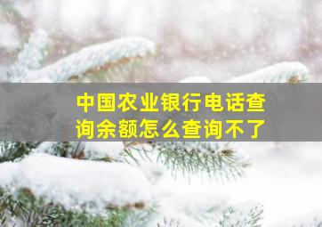 中国农业银行电话查询余额怎么查询不了