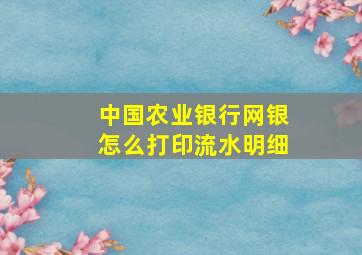 中国农业银行网银怎么打印流水明细