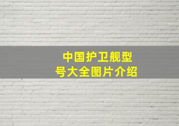 中国护卫舰型号大全图片介绍