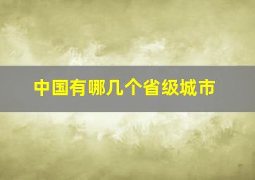 中国有哪几个省级城市