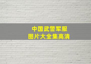 中国武警军服图片大全集高清