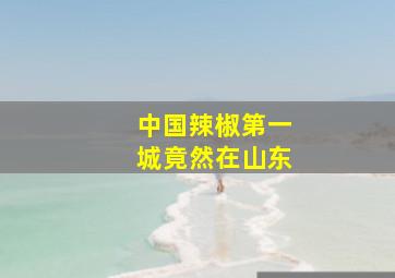 中国辣椒第一城竟然在山东