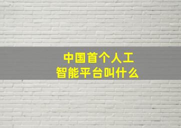 中国首个人工智能平台叫什么