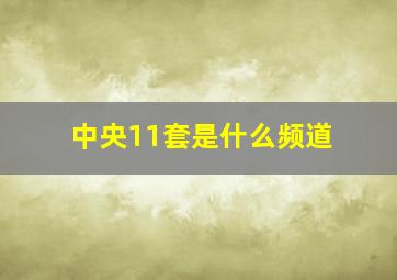 中央11套是什么频道