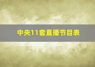 中央11套直播节目表