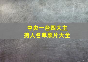 中央一台四大主持人名单照片大全