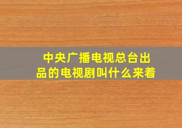 中央广播电视总台出品的电视剧叫什么来着