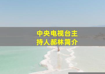 中央电视台主持人郝林简介