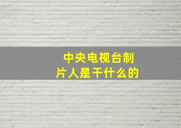 中央电视台制片人是干什么的