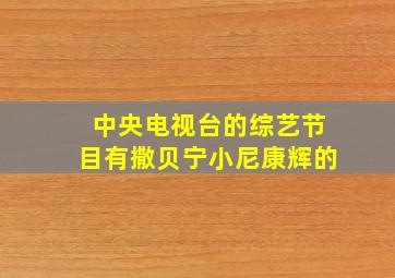 中央电视台的综艺节目有撒贝宁小尼康辉的