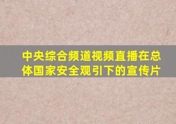 中央综合频道视频直播在总体国家安全观引下的宣传片