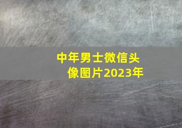 中年男士微信头像图片2023年