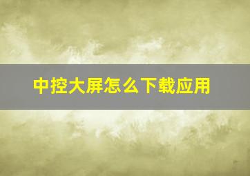 中控大屏怎么下载应用