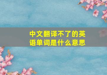 中文翻译不了的英语单词是什么意思