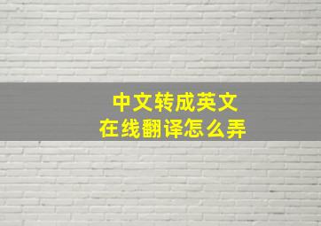 中文转成英文在线翻译怎么弄