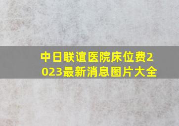 中日联谊医院床位费2023最新消息图片大全