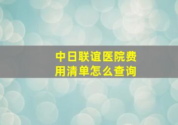 中日联谊医院费用清单怎么查询