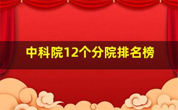 中科院12个分院排名榜