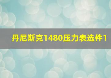 丹尼斯克1480压力表选件1