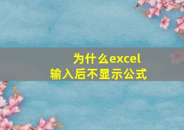 为什么excel输入后不显示公式