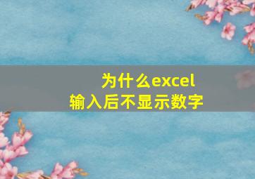 为什么excel输入后不显示数字