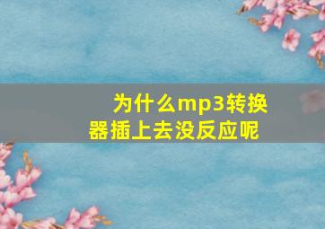 为什么mp3转换器插上去没反应呢