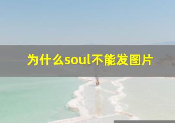 为什么soul不能发图片