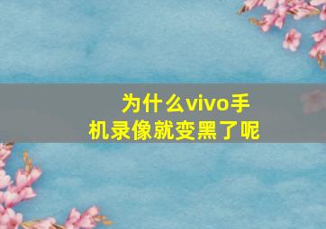 为什么vivo手机录像就变黑了呢