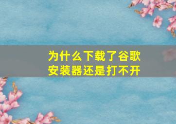 为什么下载了谷歌安装器还是打不开