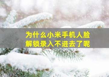 为什么小米手机人脸解锁录入不进去了呢