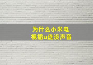 为什么小米电视插u盘没声音