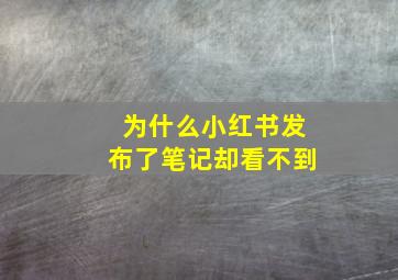 为什么小红书发布了笔记却看不到