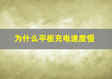 为什么平板充电速度慢