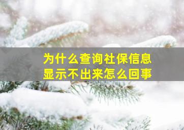 为什么查询社保信息显示不出来怎么回事