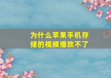 为什么苹果手机存储的视频播放不了