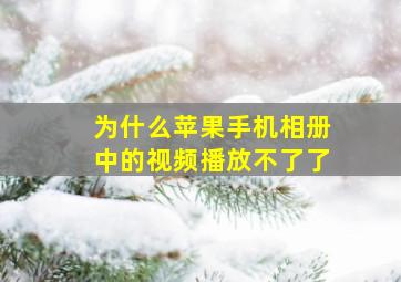 为什么苹果手机相册中的视频播放不了了