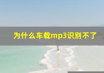 为什么车载mp3识别不了