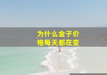 为什么金子价格每天都在变