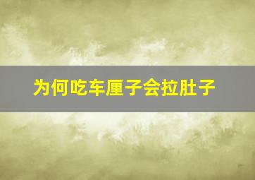 为何吃车厘子会拉肚子