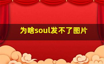 为啥soul发不了图片