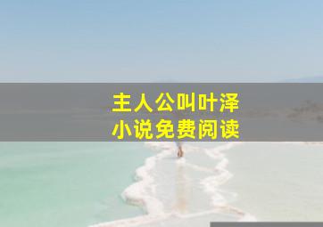 主人公叫叶泽小说免费阅读