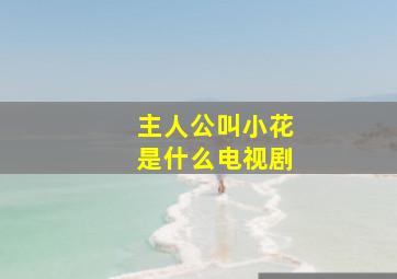 主人公叫小花是什么电视剧