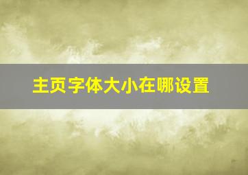 主页字体大小在哪设置