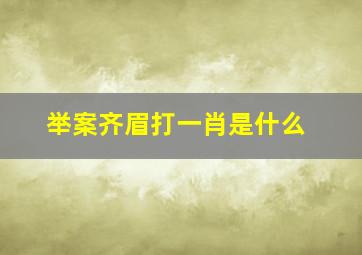 举案齐眉打一肖是什么